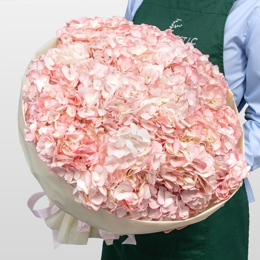 Букет из светло-розовой Гортензии «Фламинго»