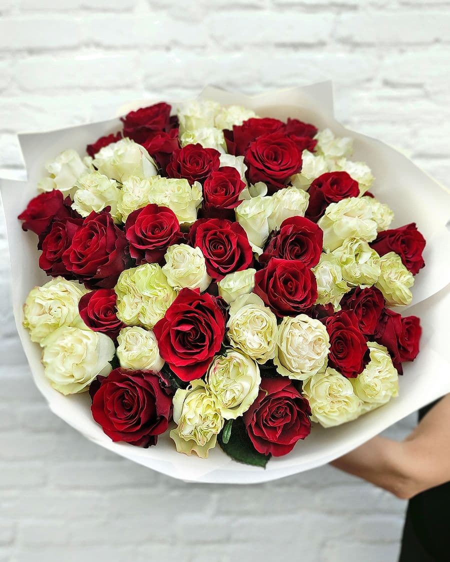 Роза Эквадор красно-белый 60 см