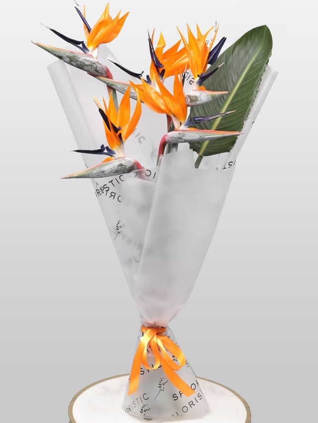 Букет из Стрелиции 5 шт «Перо Жар-Птицы» Букет из Стрелиции 5 шт «Перо Жар-Птицы»