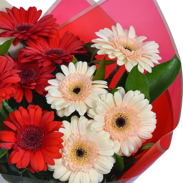 Букет из Гермини «Яркое настроение» Букет из Гермини «Яркое настроение»