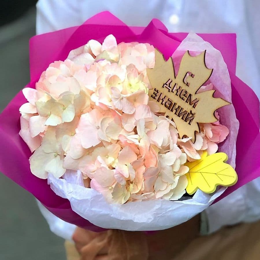 Букет из розовой Гортензии «Смущение»