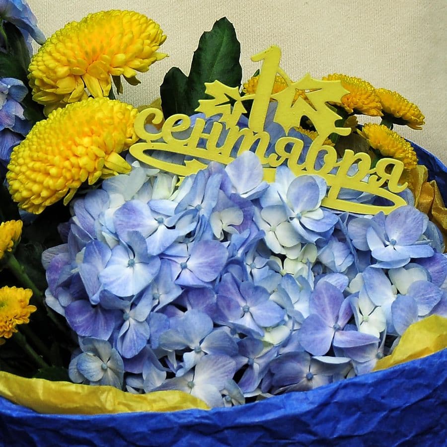 Букет из Гортензии, Хризантемы и Дельфиниума «2-Б»