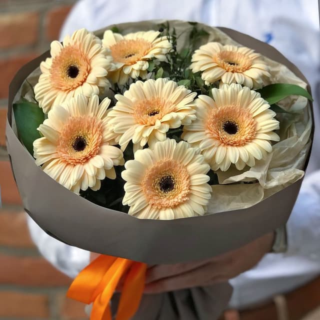 Букет из кремовых Гермини «Сливочный» Букет из кремовых Гермини «Сливочный»