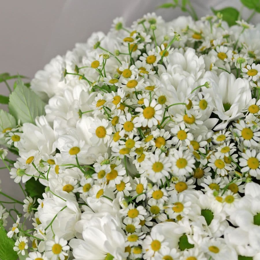 Букет из кустовых Хризантем и Матрикарий «Прелести полей»