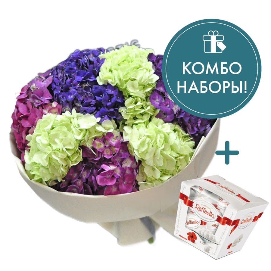 Букет из гортензий «Амазонка» с конфетами Raffaello