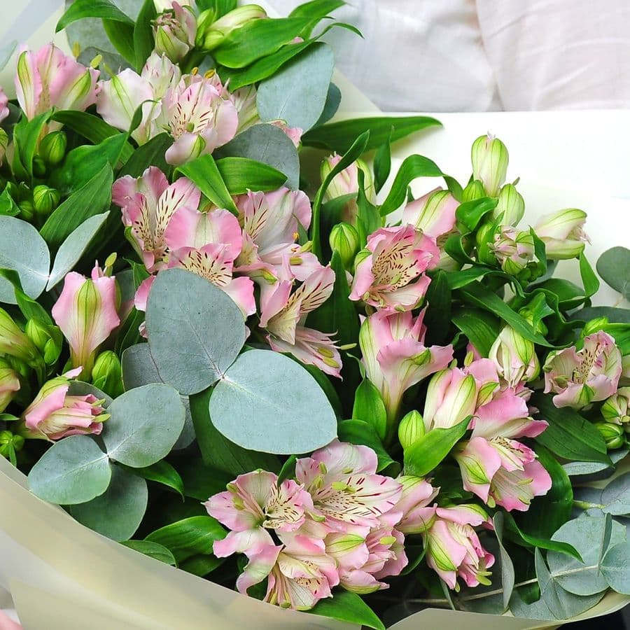 Букет из нежно-розовой Альстромерии с Эвкалиптом «Розовая Магия»