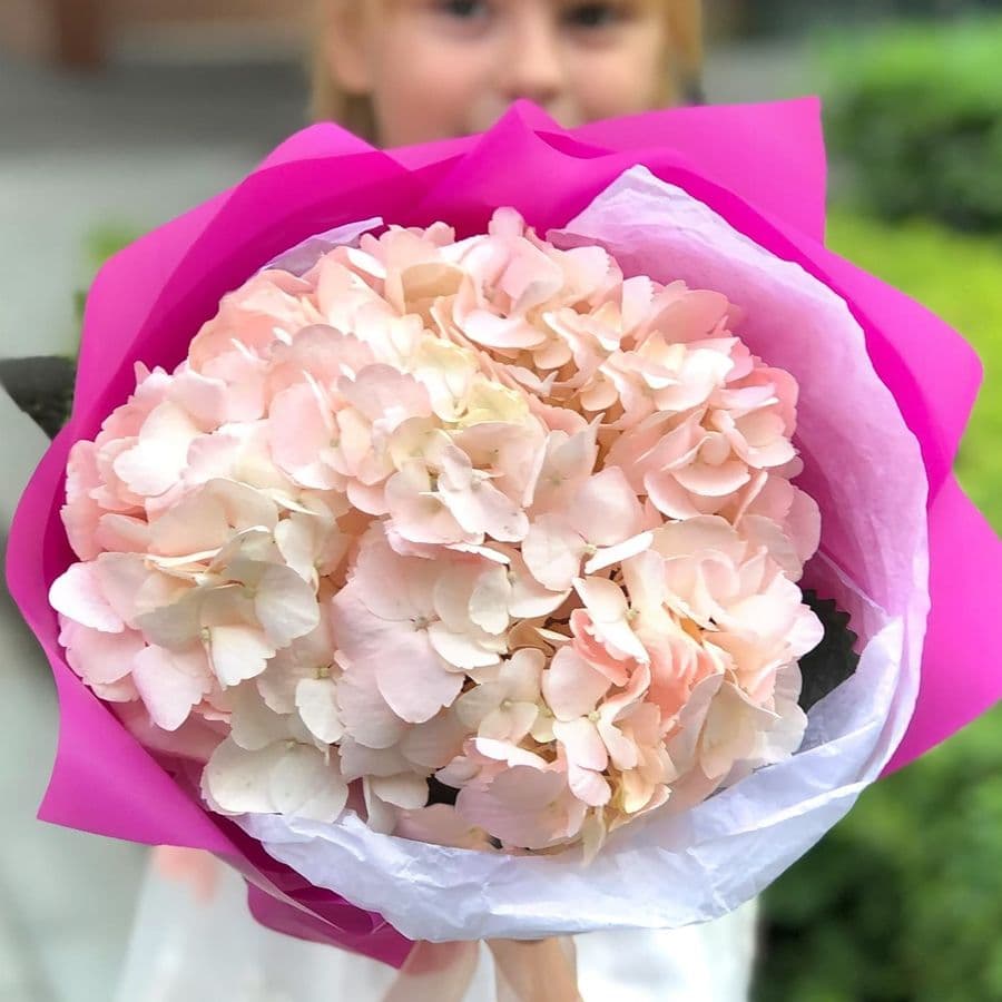 Букет из Розовой Гортензии «Доченьке»