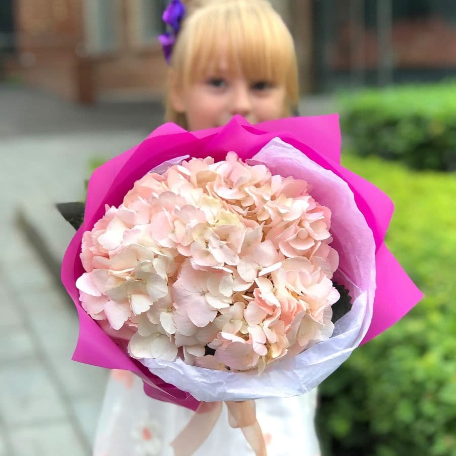 Букет из Розовой Гортензии «Доченьке»