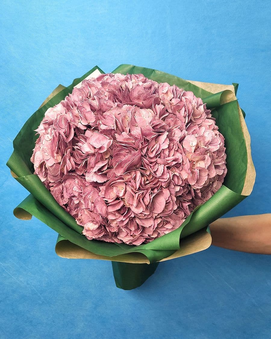 Букет из Гортензии «Сиреневый закат»