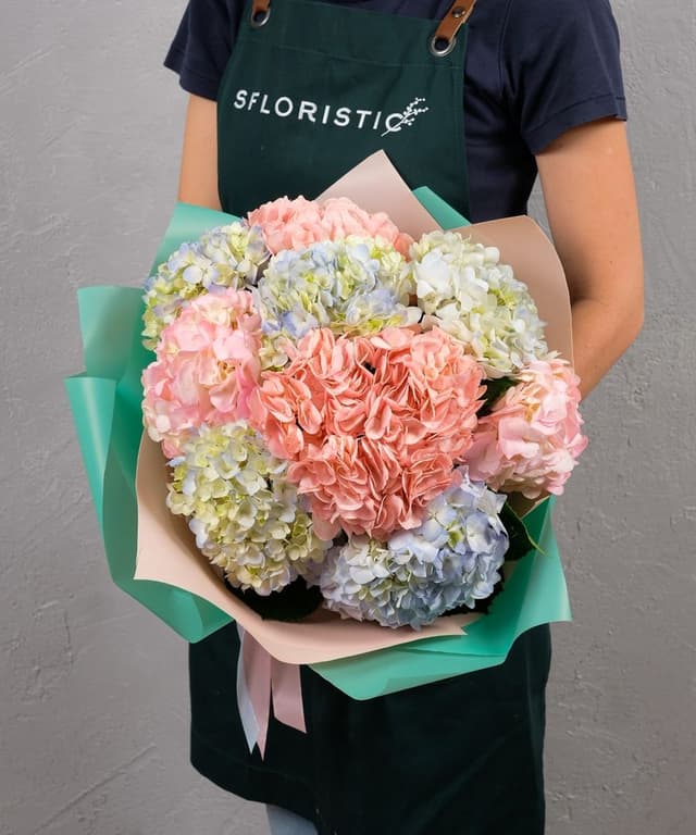 Букет из Гортензий «Триколор» Букет из Гортензий «Триколор»