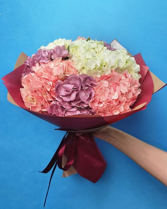 Букет из Гортензии «Оттенки» Букет из Гортензии «Оттенки»