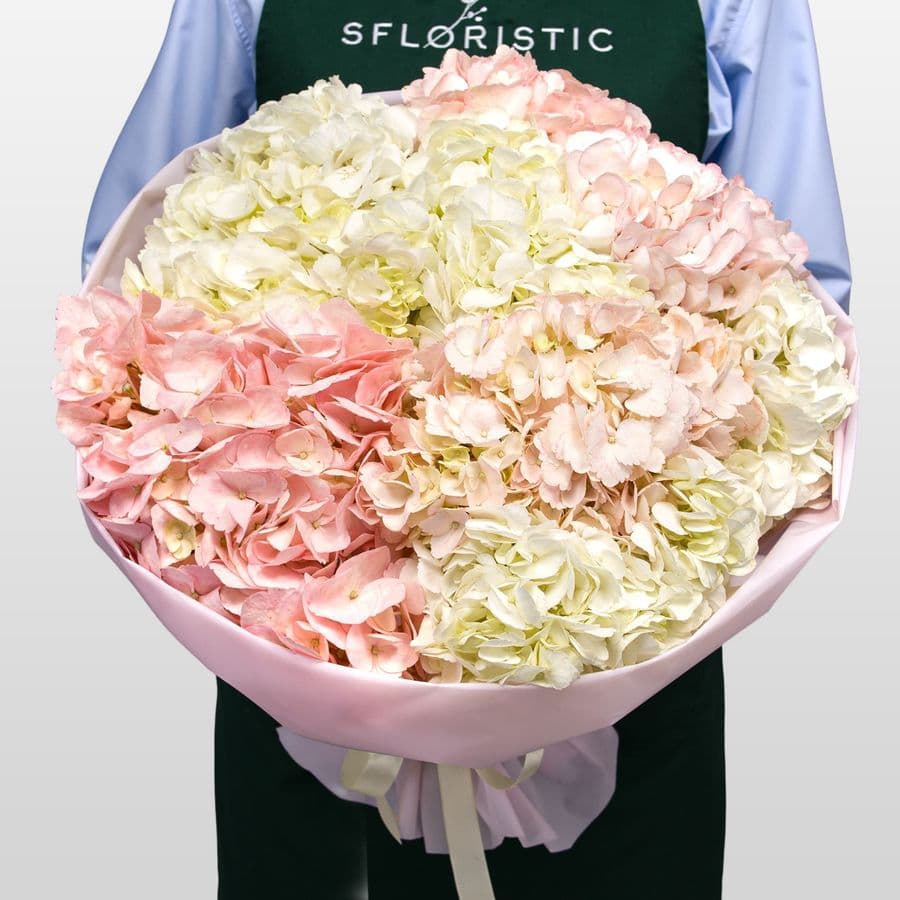 Букет из розовой и белой Гортензии «Аттракционы»