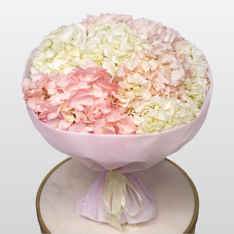 Букет из розовой и белой Гортензии «Аттракционы»