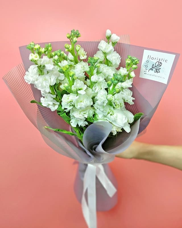 Букет из белых Маттиол Букет из белых Маттиол