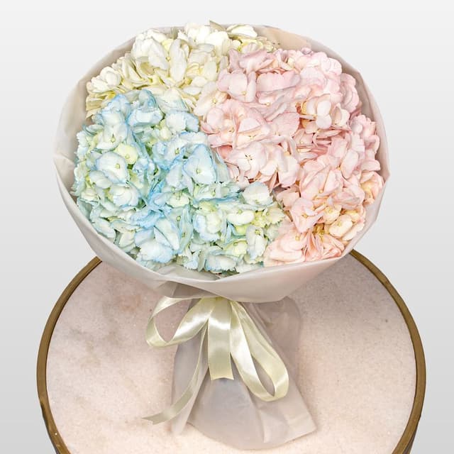 Букет из разноцветных Гортензий «Акварельный микс» Букет из разноцветных Гортензий «Акварельный микс»