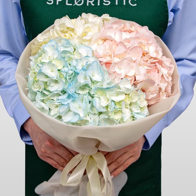 Букет из разноцветных Гортензий «Акварельный микс» Букет из разноцветных Гортензий «Акварельный микс»