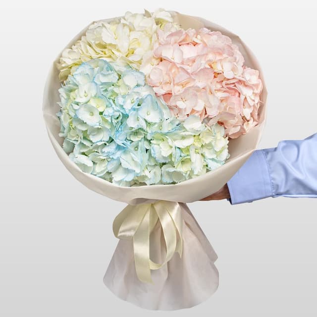 Букет из разноцветных Гортензий «Акварельный микс» Букет из разноцветных Гортензий «Акварельный микс»