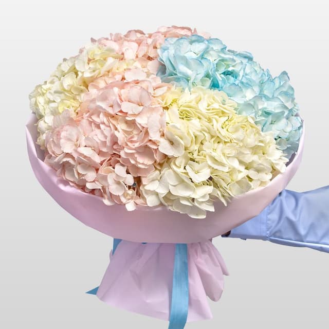 Букет из Гортензий «Нежный микс» Букет из Гортензий «Нежный микс»