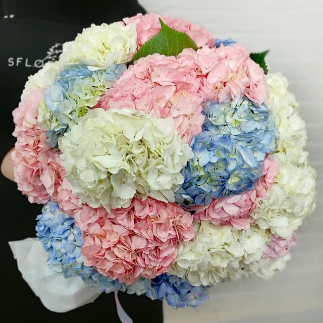 Букет из разноцветных Гортензий «Воздушный шар» Букет из разноцветных Гортензий «Воздушный шар»