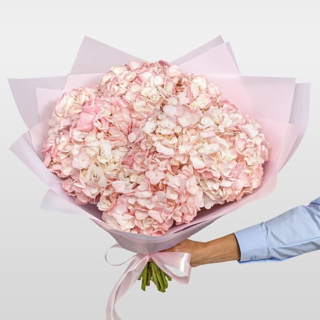 Букет из нежно-розовой Гортензии «Мечты Анны» Букет из нежно-розовой Гортензии «Мечты Анны»