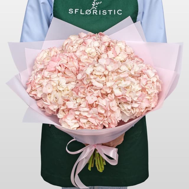 Букет из нежно-розовой Гортензии «Мечты Анны» Букет из нежно-розовой Гортензии «Мечты Анны»