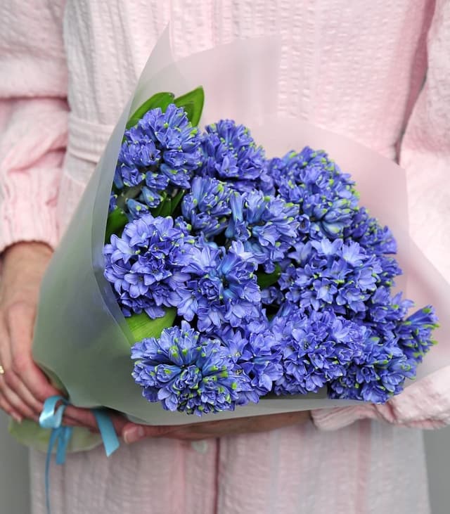 Букет из гиацинтов «Синие Очи» Букет из гиацинтов «Синие Очи»