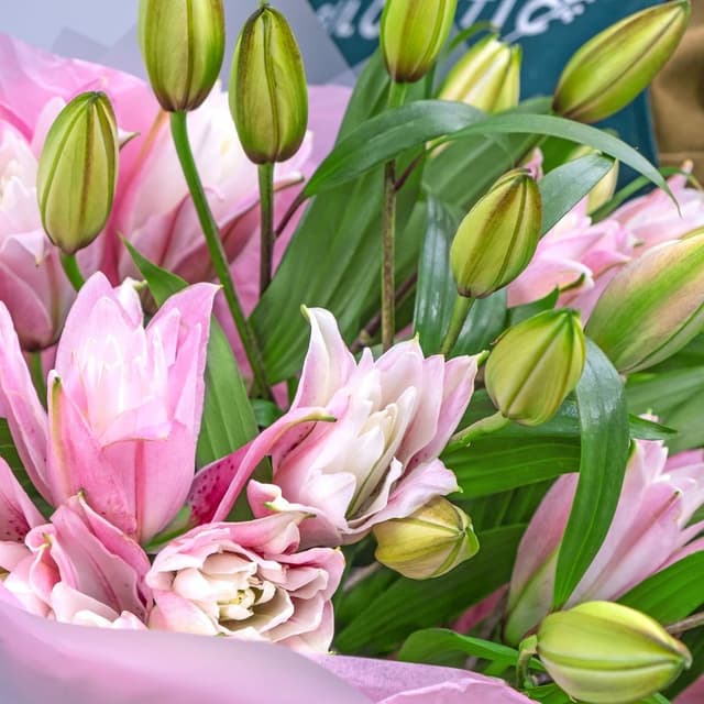 Букет из Розовых лилии 7 шт «Изысканность» Букет из Розовых лилии 7 шт «Изысканность»