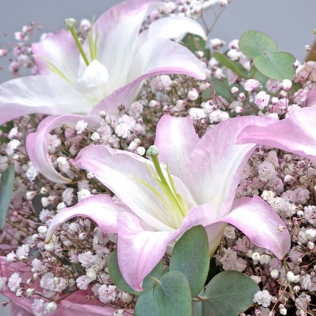 Корзина из Гипсофилы и Лилии в корзине «Дыханье ветра» Корзина из Гипсофилы и Лилии в корзине «Дыханье ветра»