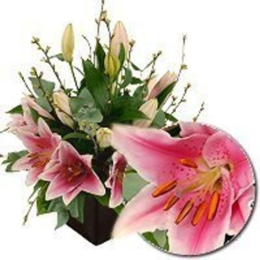 Композиция из Лилий и Эвкалипта «Хрустальная грация»