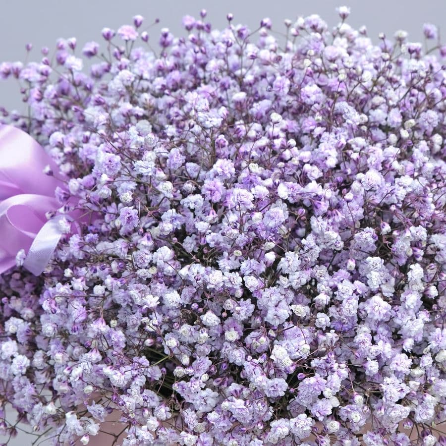 Композиция из Гипсофилы «Перекати-поле»