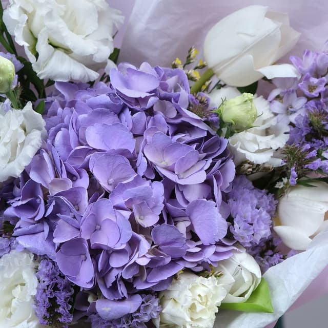 Букет из гортензии и тюльпанов «Обаятельной» Букет из гортензии и тюльпанов «Обаятельной»