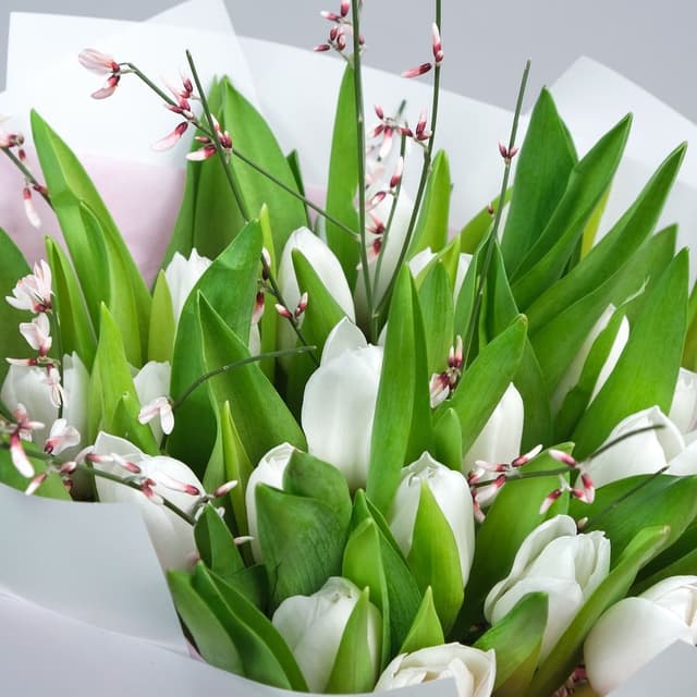 Букет из Тюльпанов 25 шт «Снежная Королева» Букет из Тюльпанов 25 шт «Снежная Королева»