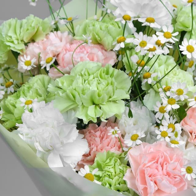 Букет из Гвоздик и Матрикарии «Ранняя Весна» Букет из Гвоздик и Матрикарии «Ранняя Весна»