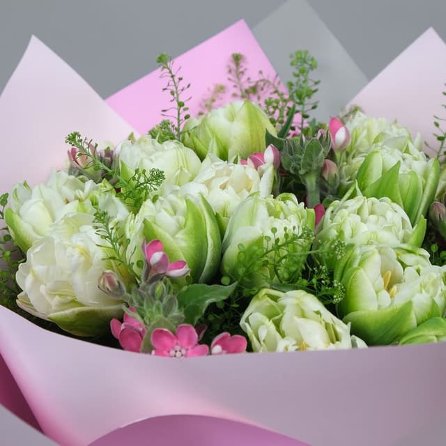 Букет из Пионовидных Тюльпанов и Оксипеталума «Белоснежная Весна» Букет из Пионовидных Тюльпанов и Оксипеталума «Белоснежная Весна»