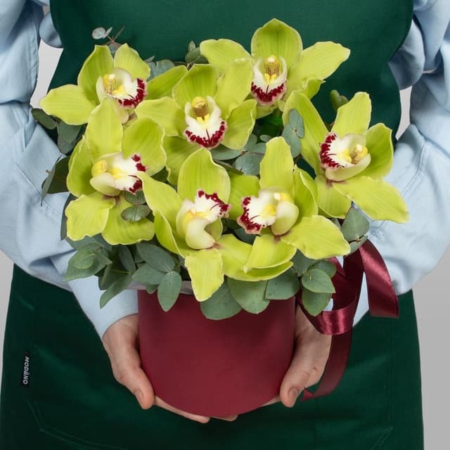 Букет из Гортензии, Гвоздики, Орхидеи «Белоснежный зефир» Букет из Гортензии, Гвоздики, Орхидеи «Белоснежный зефир»