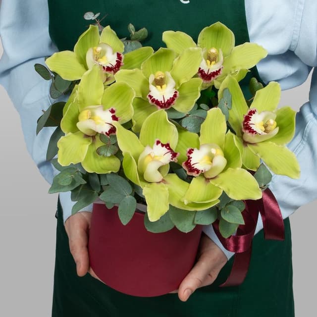 Букет из Гортензии, Гвоздики, Орхидеи «Белоснежный зефир» Букет из Гортензии, Гвоздики, Орхидеи «Белоснежный зефир»