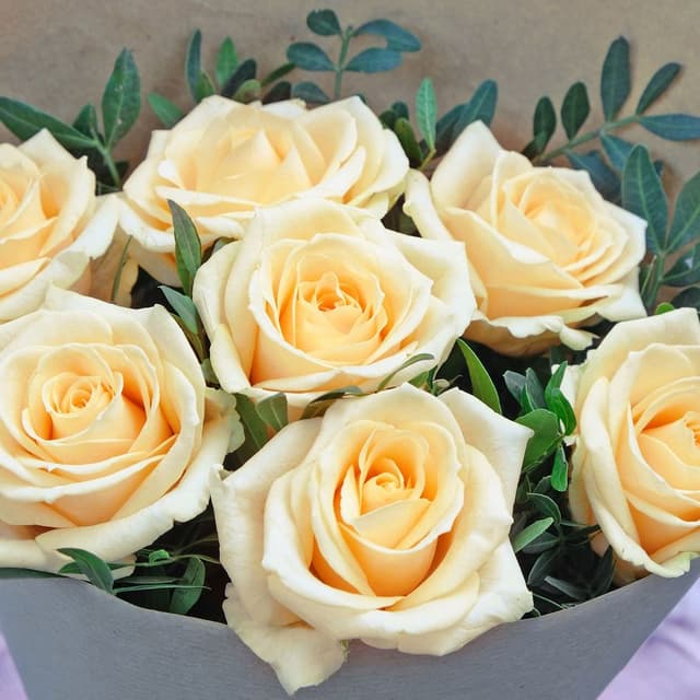 Букет из кремовых Роз 60 см «Тефида» Букет из кремовых Роз 60 см «Тефида»