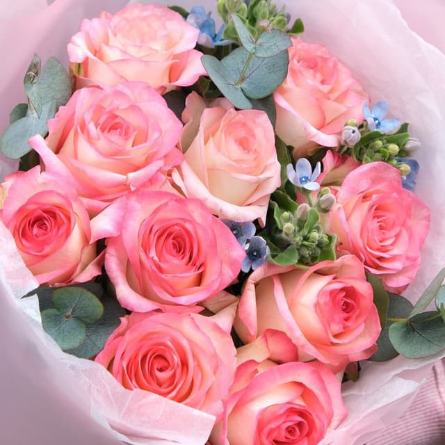 Букет из Роз Джумилия и Оксипеталума «Афина» Букет из Роз Джумилия и Оксипеталума «Афина»