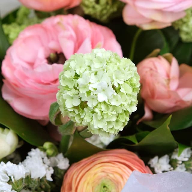 Букет из Ранункулюсов и Фрезии «Романтическое очарование» Букет из Ранункулюсов и Фрезии «Романтическое очарование»