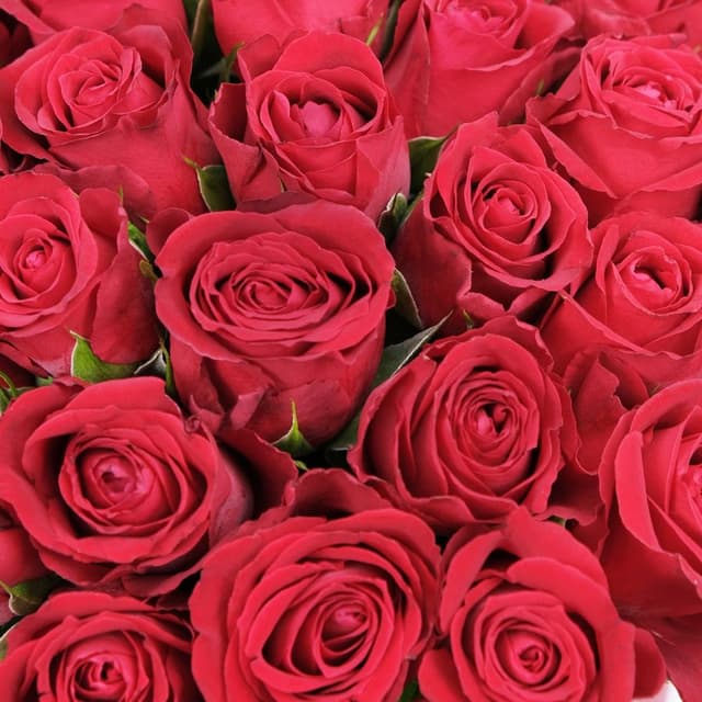 Композиция из красных Роз 51 шт в шляпной коробке «Фрейя» Композиция из красных Роз 51 шт в шляпной коробке «Фрейя»