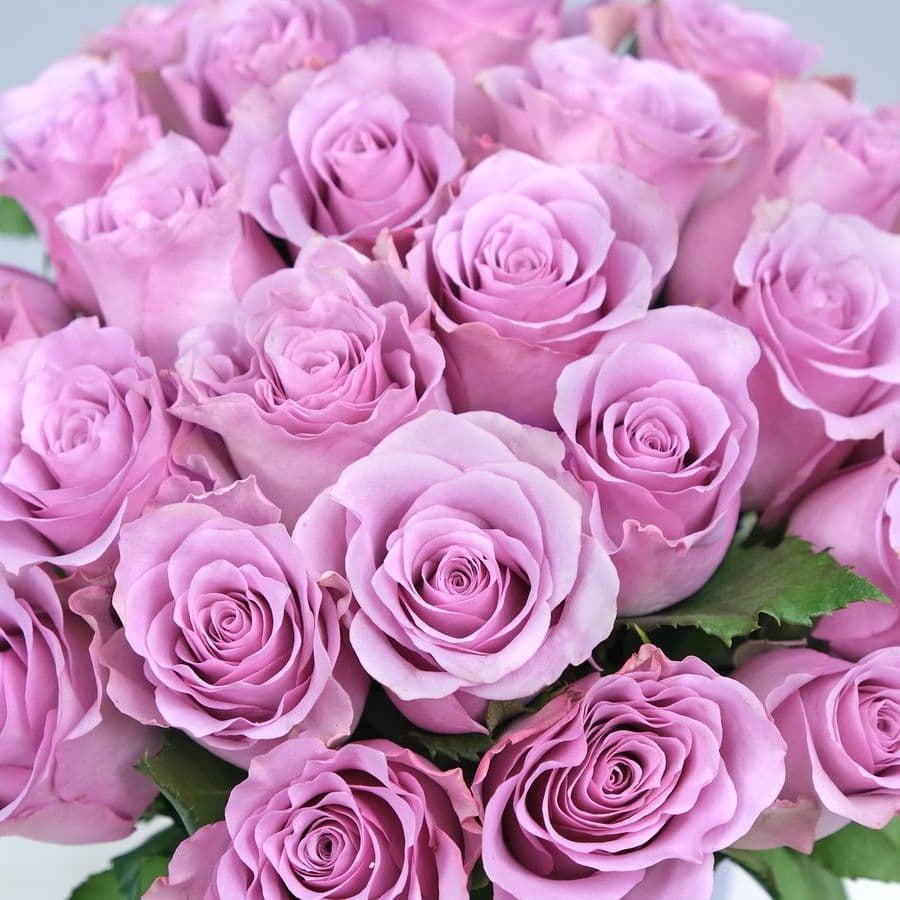 Композиция в Шляпной коробке из сиреневых Роз 25 шт «Любава»
