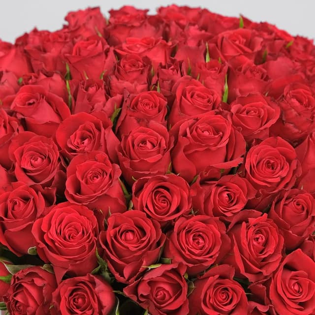 Композиция из красных Роз 101 шт «Эмилия» в шляпной коробке Композиция из красных Роз 101 шт «Эмилия» в шляпной коробке