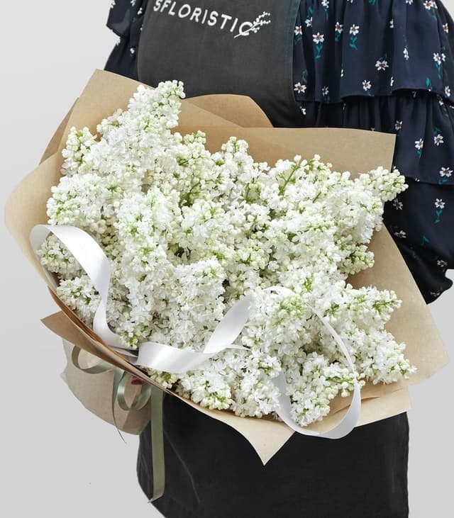 Букет из белой Сирени «Бонсай» Букет из белой Сирени «Бонсай»