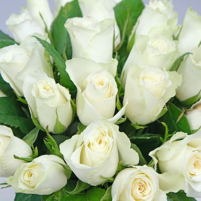 Композиция из Роз 25 шт 40 см «Искренняя любовь» Композиция из Роз 25 шт 40 см «Искренняя любовь»