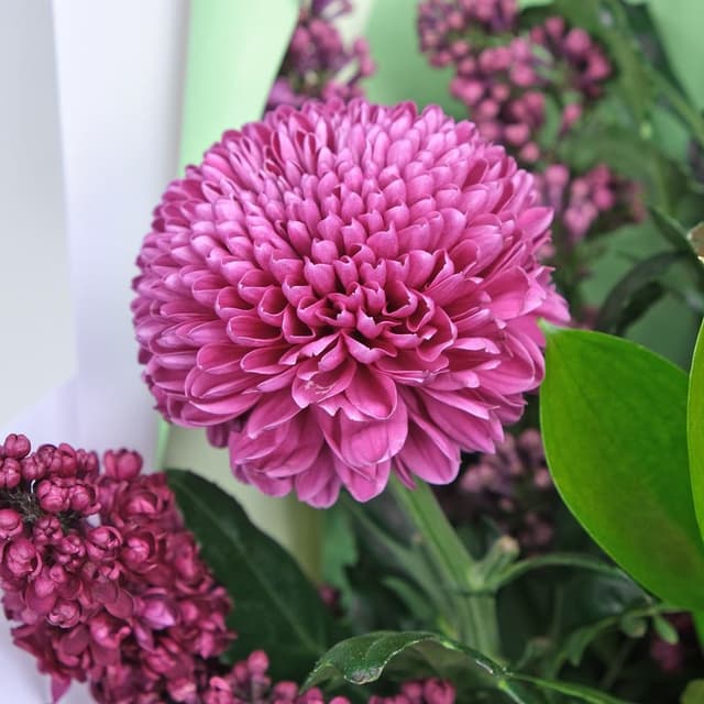 Букет из Роз, Пиона и Сирени «Три реки» Букет из Роз, Пиона и Сирени «Три реки»