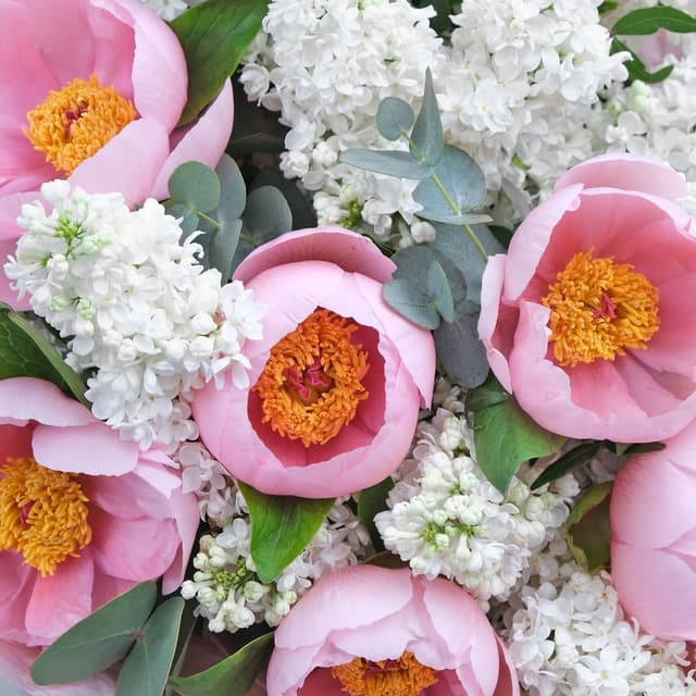 Букет из Сирени и Пионов «Нежность чувств» Букет из Сирени и Пионов «Нежность чувств»