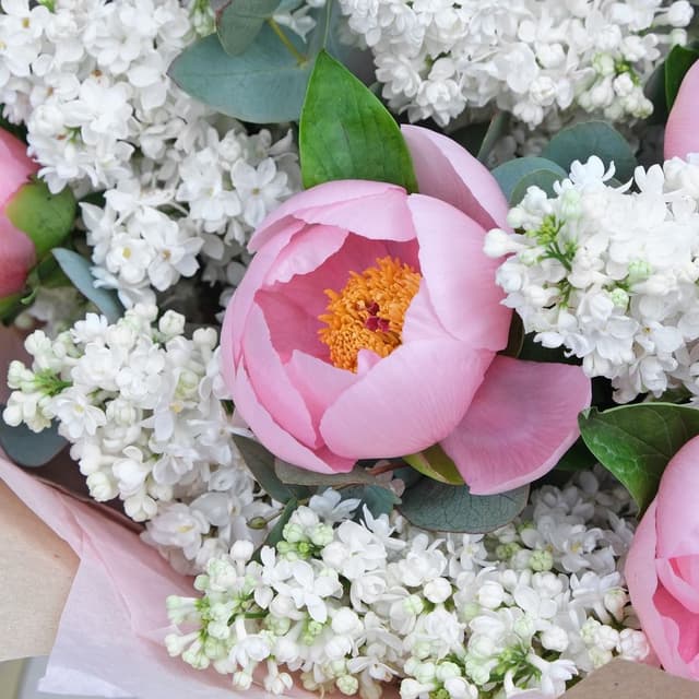 Букет из Сирени и Пионов «Нежность чувств» Букет из Сирени и Пионов «Нежность чувств»