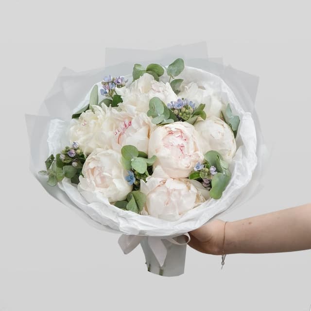Букет из Пионов и Оксипеталума «Невеста» Букет из Пионов и Оксипеталума «Невеста»