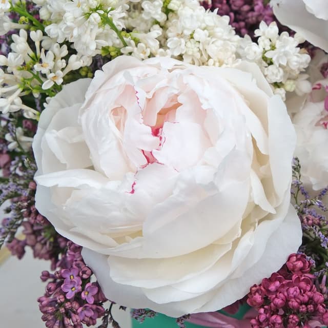 Композиция из Пионов и Сирени в шляпной коробке «Воздушная прелесть» Композиция из Пионов и Сирени в шляпной коробке «Воздушная прелесть»