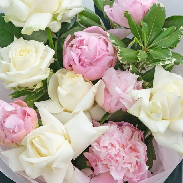 Букет из Пионов и Питтоспорума «Красочное лето» Букет из Пионов и Питтоспорума «Красочное лето»